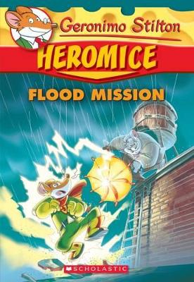 Flood Mission book