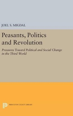 Peasants, Politics and Revolution book