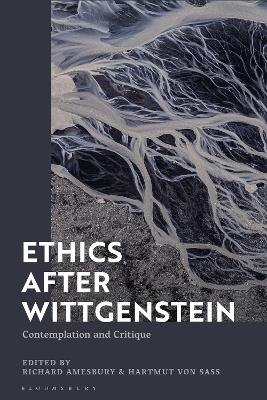 Ethics after Wittgenstein: Contemplation and Critique by Professor Richard Amesbury