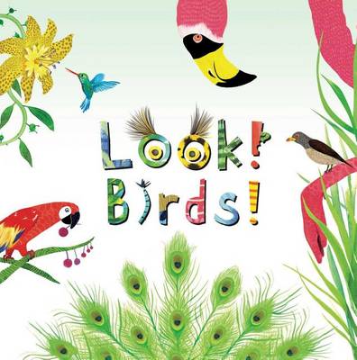 Look! Birds! book