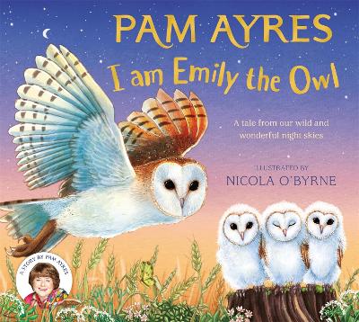 I am Emily the Owl: A tale from our wild and wonderful night skies book