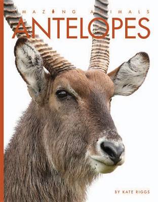 Antelopes by Kate Riggs