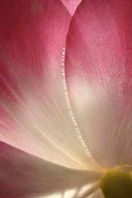 Phyla of Joy book