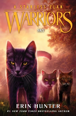 Warriors: A Starless Clan #2: Sky by Erin Hunter
