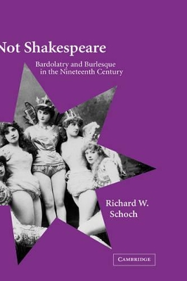 Not Shakespeare book