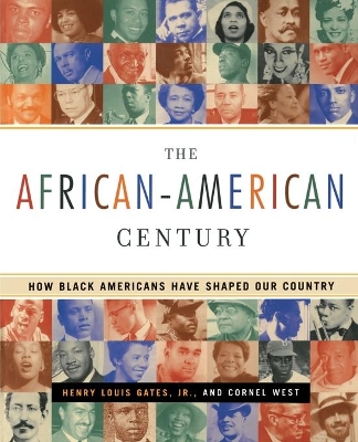 African-American Century book