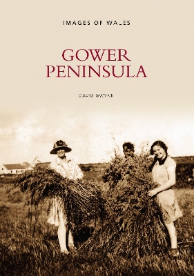 Gower Peninsula book