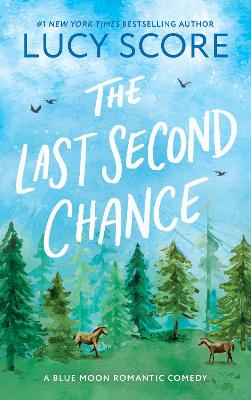 The Last Second Chance book