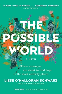 The The Possible World by Liese O'Halloran Schwarz