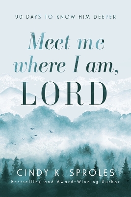 Meet Me Where I Am, Lord: 90 Days to Know Him Deeper book