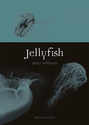 Jellyfish book