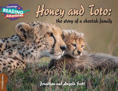 Honey and Toto: The Story of a Cheetah Family 1 Pathfinders book
