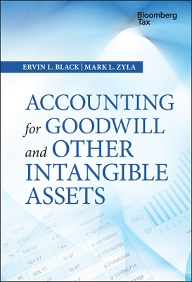 Accounting for Goodwill and Other Intangible Assets book