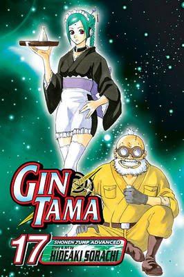 Gin Tama, Volume 17 book