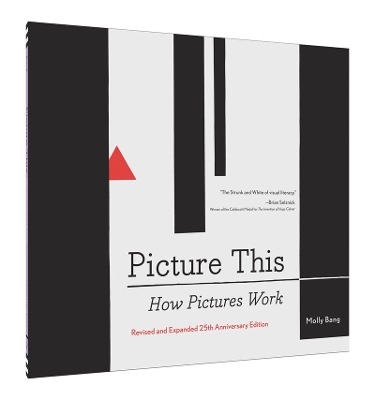 Picture This 25th Anniversary Edition by Molly Bang