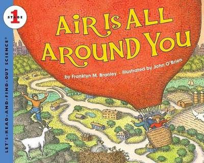 Air Is All Around You book