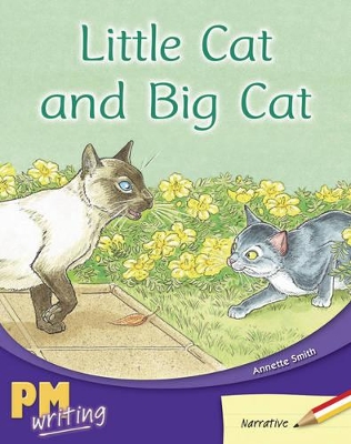 Little Cat and Big Cat book