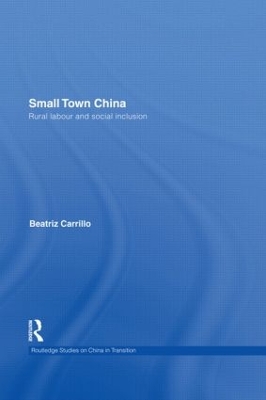 Small Town China book