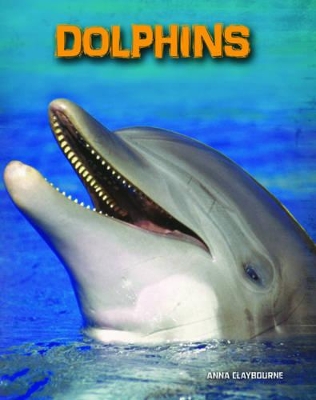 Dolphins by Anna Claybourne