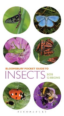 Pocket Guide to Insects book