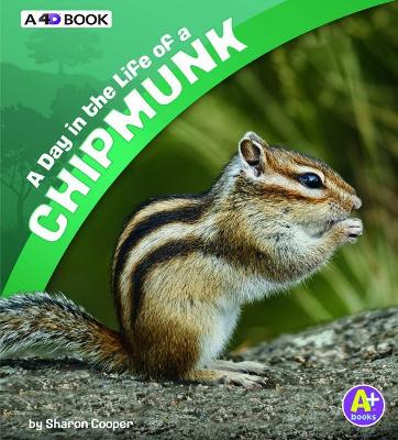 A Day in the Life of a Chipmunk by Sharon Katz Cooper