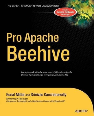 Pro Apache Beehive by Srinivas Kanchanavally