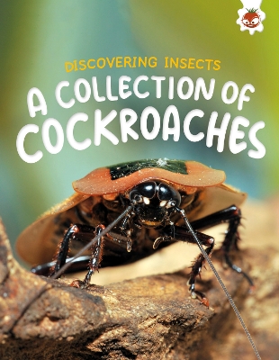 Discovering Insects: A Collection of Cockroaches book
