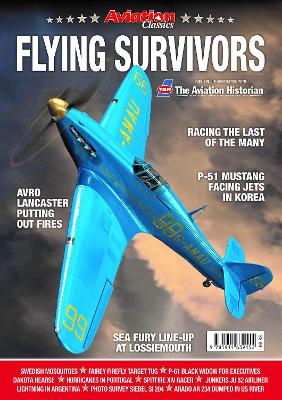 Flying Survivors - WW2 Aircraft in book