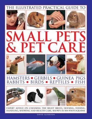 Illustrated Practical Guide to Small Pets & Pet Care book