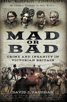 Mad or Bad: Crime and Insanity in Victorian Britain by David J. Vaughan
