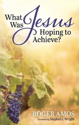 What Was Jesus Hoping to Achieve? book