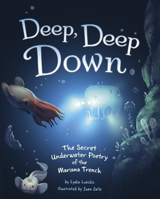 Deep, Deep Down book