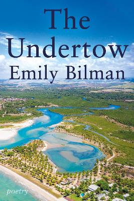 The Undertow book