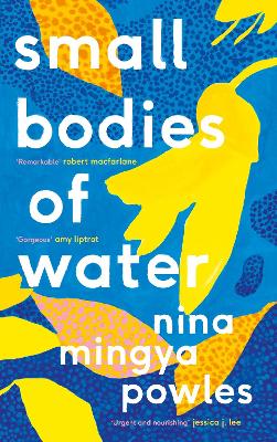 Small Bodies of Water book