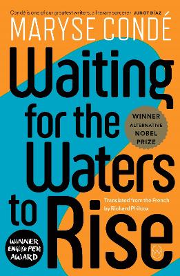 Waiting For The Waters To Rise book