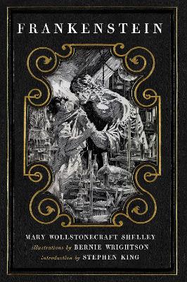 Frankenstein book