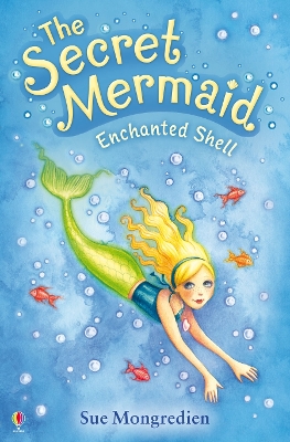 Secret Mermaid Enchanted Shell book