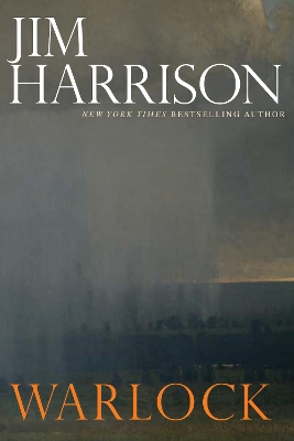 Warlock book