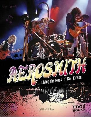 Aerosmith book