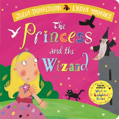 The Princess and the Wizard book