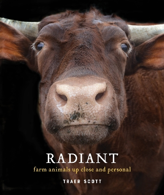 Radiant: Farm Animals Up Close and Personal book