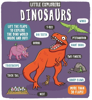 Little Explorers Dinosaurs book