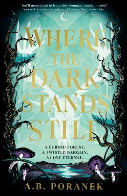 Where the Dark Stands Still by A B Poranek
