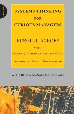 Systems Thinking for Curious Managers book