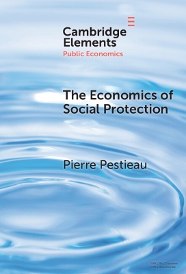 The Economics of Social Protection by Pierre Pestieau