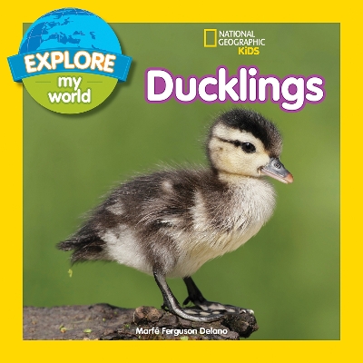 Explore My World: Ducklings book