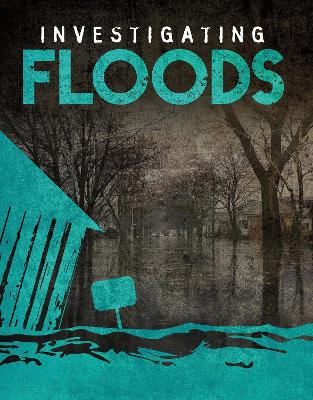 Investigating Floods by Elizabeth Elkins