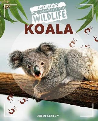 Australia's Remarkable Wildlife: Koala book