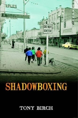 Shadowboxing book