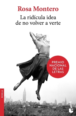 La Ridícula Idea de No Volver a Verte book